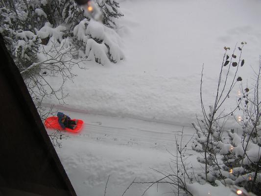 Noah in his sled.