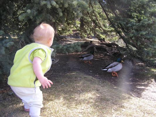 Sarah is poised to catch a duck.