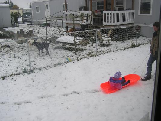 Sarah and David go around the house with the sled.