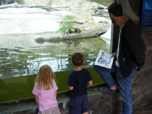 Sarah, Noah and David watch the otters.