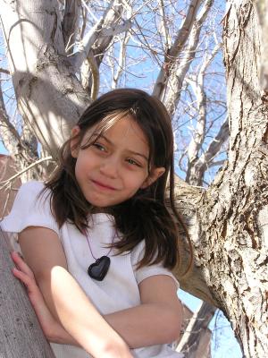 Andrea climbed a tree.