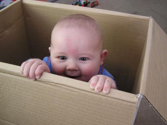 Does anyone want to play with a Noah in the box?