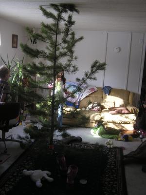 Our tree is a little tall