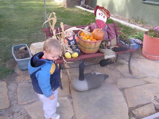 Noah goes to great grandma's house.