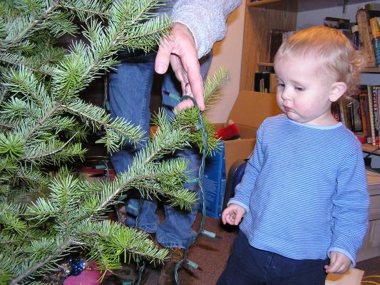 This is how we put the lights on the tree.