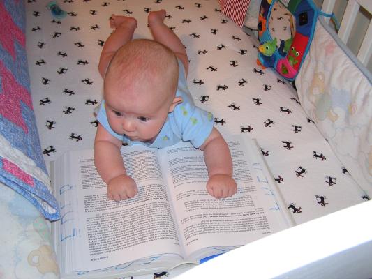 Noah reading the Romans commentary.