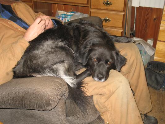 Junior and Molly.