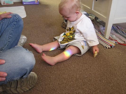 There's a rainbow on Noah