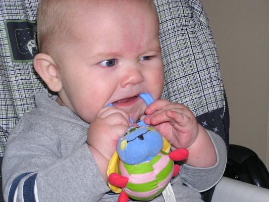 Mommy makes me eat bugs