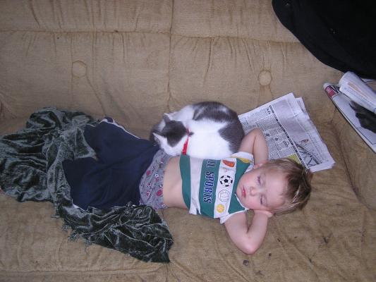 How the kitty and Noah like to enjoy each other.