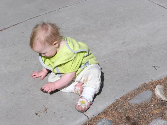 Sarah plays with a fir cone
