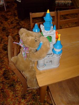 Teddy plays with a castle