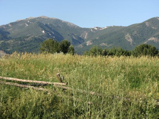 A view from Gallatin Recreation Area