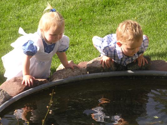 Sarah and Noah watch goldfish at our neighbor's wedding.