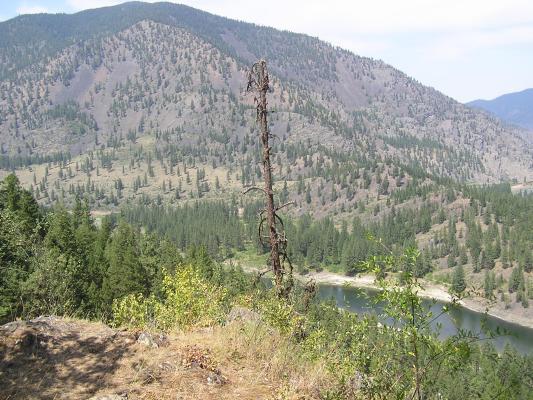 A view from Cascade Falls