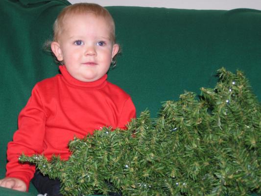 Now I have the Christmas tree.