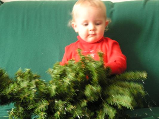 Noah and a Christmas tree.