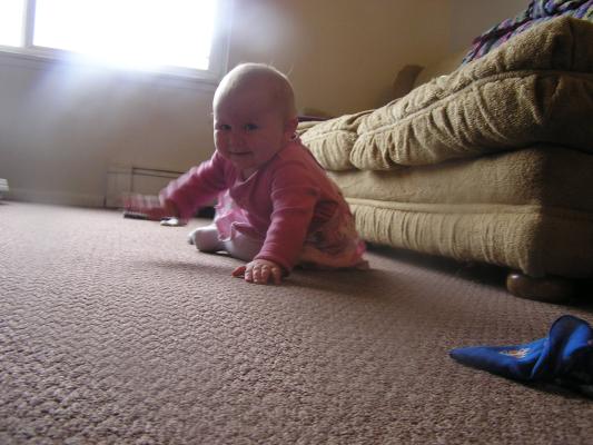 Crawl to the camera Sarah.