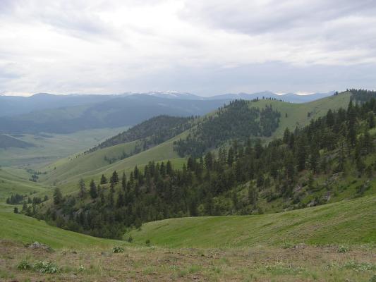 A view from the Bison Range.
