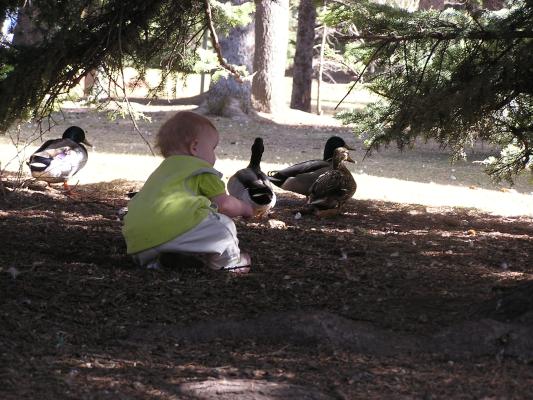 A duck perches on Sarah's arm. (No not really).