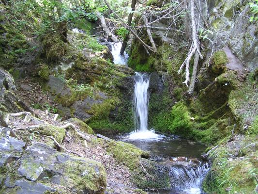 Here is the waterfall we climbed to see.