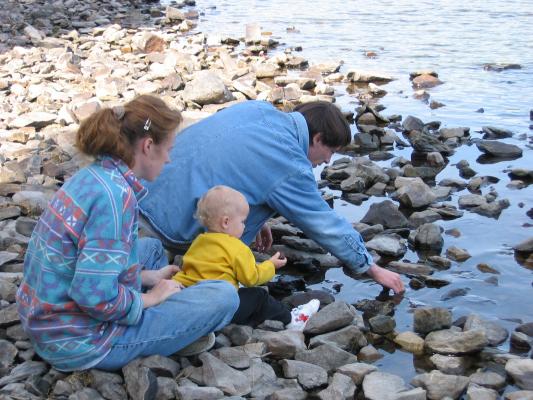 Looking for crawdads