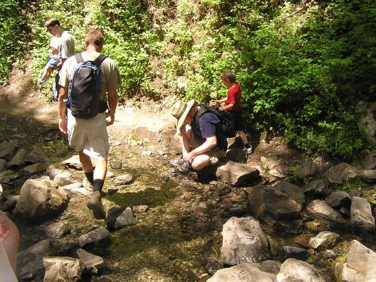GVCC hike to Pine Creek Falls.
Playing in a stream on the way back.