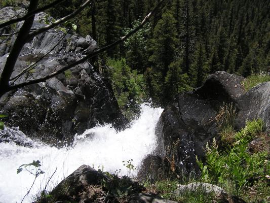 Looking down the top of Pine Creek Falls.