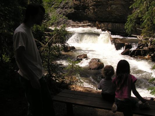 Everyone looks at the water.
