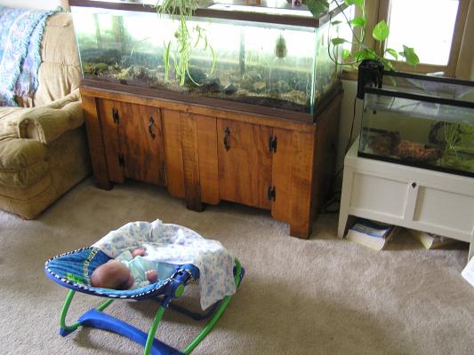 Noah watching his favorite cartoon show