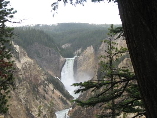 Yellowstone River.