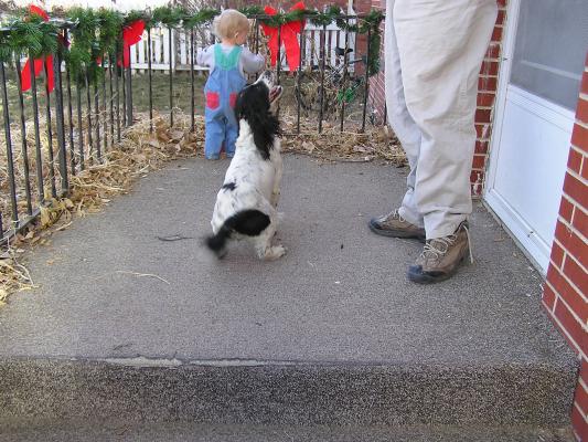 Noah and a dog.