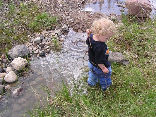 Noah looks for another good stick.