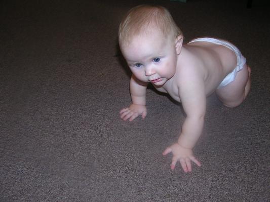 Sarah is a pretty good crawler.