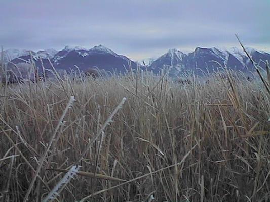 Mission Mountains.
