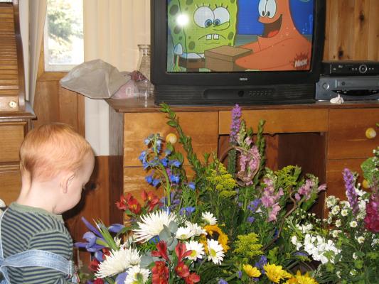 Steven plays with great grandpa's flowers.