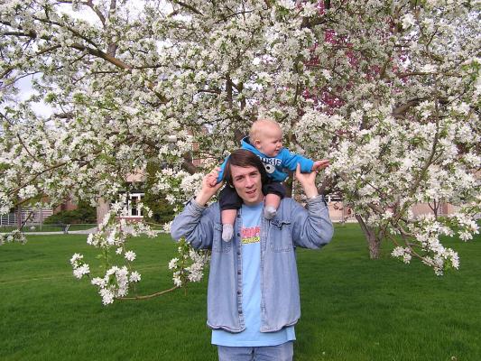 What kind of flowers are these Dad?