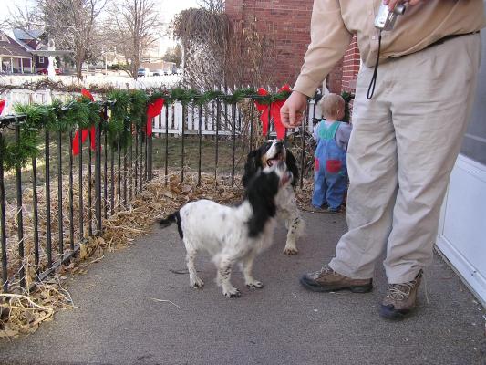 Walt gives his dogs a treat.