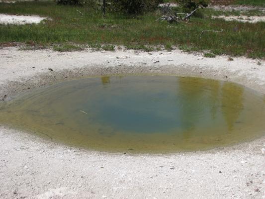 brown water