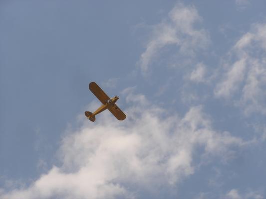 Sweet Pea Festival Parade. a plane