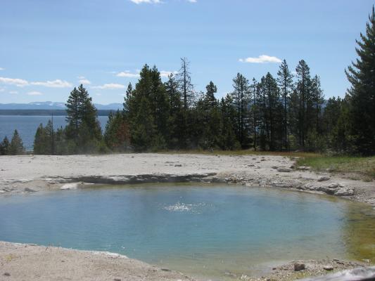 Bubbling Pool