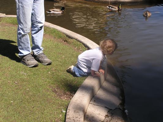 Noah plots hot to capture the ducks in the water.