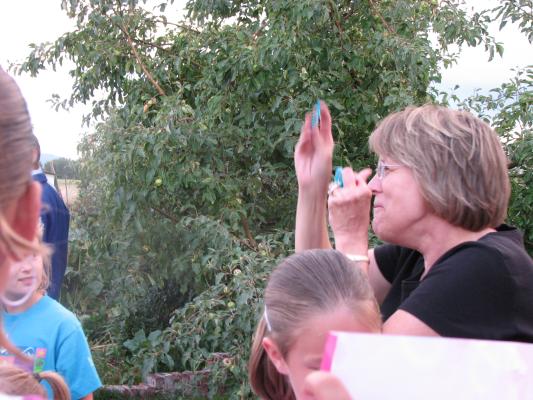 Deb handing out VBS toys