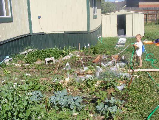 Joshua watering the garden