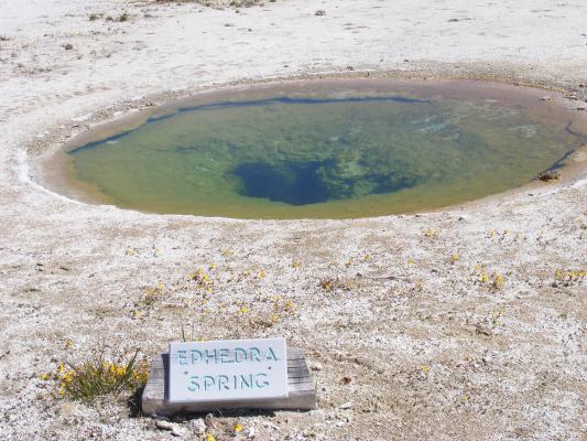Ephedra Spring