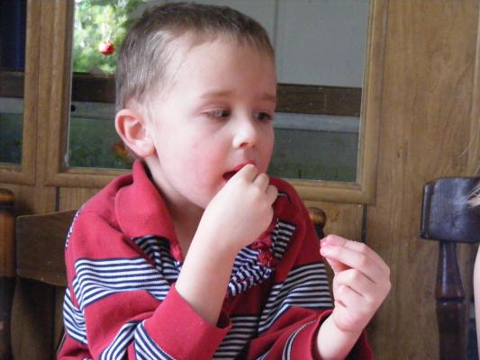 Noah eating some candy from the gingerbread house.