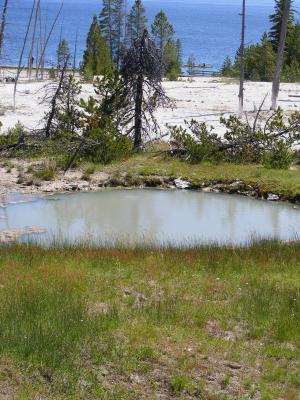 hot spring near West Thumb