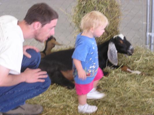 Sarah\, David and Goats