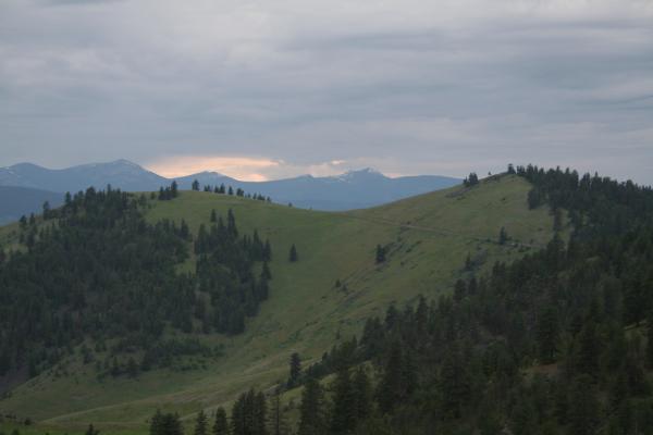 View from the tail.