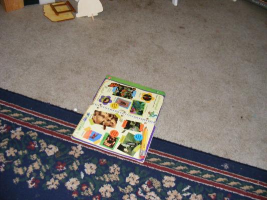 Noah's book.